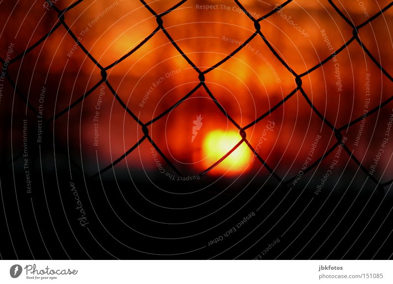 grid fence Wire netting fence Fence Sun Dark Black Red Sunset Romance Dusk Safety Vacation & Travel France Orange Detail
