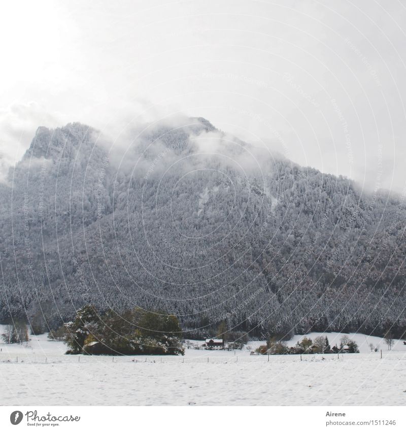 it gets dark early Landscape Clouds Winter Weather Bad weather Fog Snow Meadow Field Forest Alps Peak Snowcapped peak Mountain forest Village