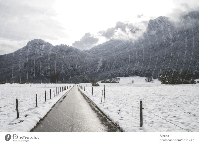 finiteness Clouds Winter Fog Snow Field Forest Alps Mountain Snowcapped peak Mountain forest Street Lanes & trails Sidestreet Line Driving Dark Gloomy Gray