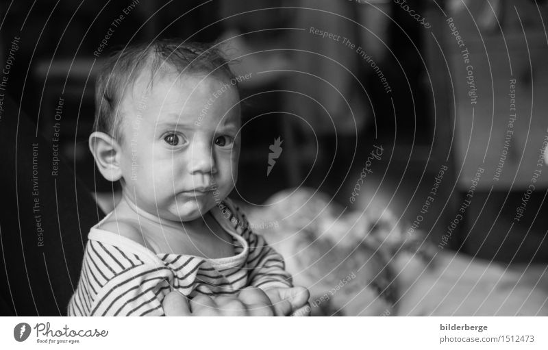 will Child Baby Boy (child) Brother Head 1 Human being 0 - 12 months Observe Discover Rebellious Emotions Curiosity Interest Uniqueness Senses Pride Surprise