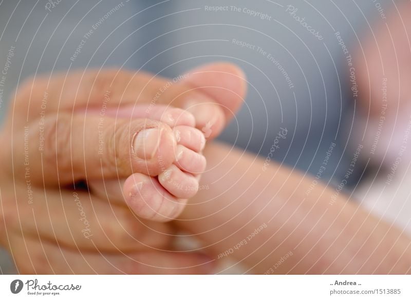 Baby feet 2 Feet 0 - 12 months Painting (action, work) Joy Happy Happiness Contentment Joie de vivre (Vitality) Passion Trust Safety Protection