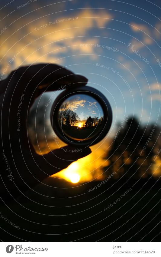 in focus I Environment Nature Landscape Clouds Sunrise Sunset Beautiful weather Tree Observe Discover Looking Natural Far-off places Magnifying glass Objective