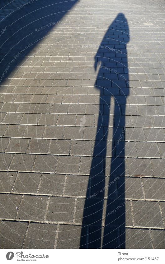 ghost Loneliness Triangle Sidewalk Human being Light Shadow Silhouette Autumn Woman Ghosts & Spectres  human shadow late afternoon