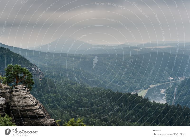 View to the east Adventure Far-off places Freedom Environment Nature Landscape Sky Clouds Summer Bad weather Fog Tree Forest Hill Rock Mountain