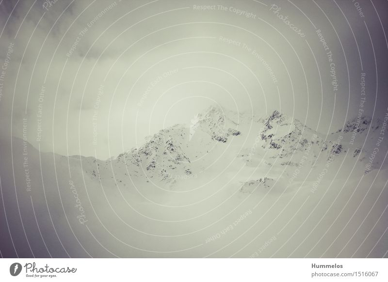 Mystic mountain in the fog Nature Landscape Winter Fog Alps Mountain Peak Snowcapped peak Esthetic Clouds White low contrasts Colour photo Exterior shot