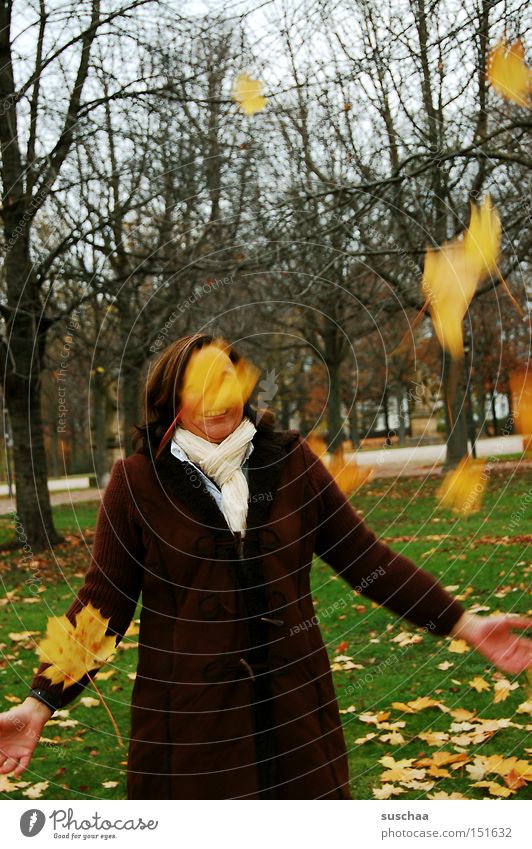 Mrs. Holle? Autumn Seasons Leaf Throw Tree Cold Scarf Coat Woman Joy Mother Holle To fall Movement Exterior shot