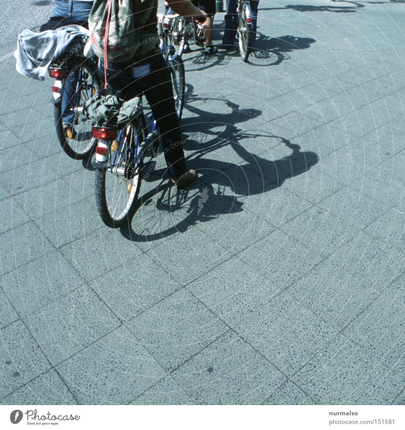 where are they going? Bicycle Driving Driver Lanes & trails Clean Modern Pedal Shadow Sidewalk Cycle path Traffic light Stop Stone Pavement