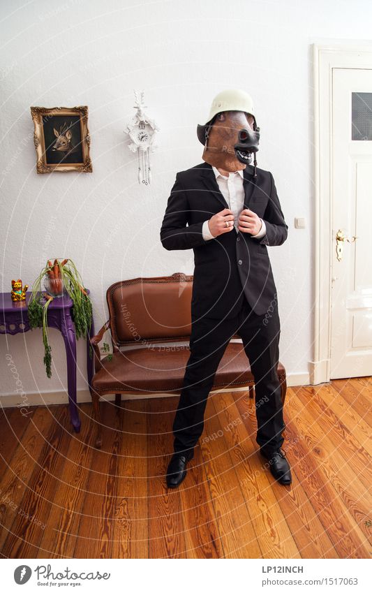 LP. HORSEMAN. XX Event Going out Carnival Hallowe'en Man Adults 1 Human being Fashion Protective clothing Suit Helmet Horse Animal Retro Town Bizarre Elegant