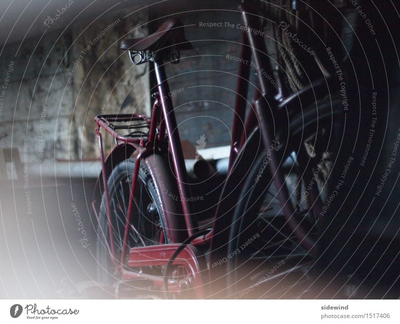 Old bicycle in dark shed Wheel Leisure and hobbies Vacation & Travel Tourism Trip Adventure Cycling tour Decoration Time machine Advancement Future