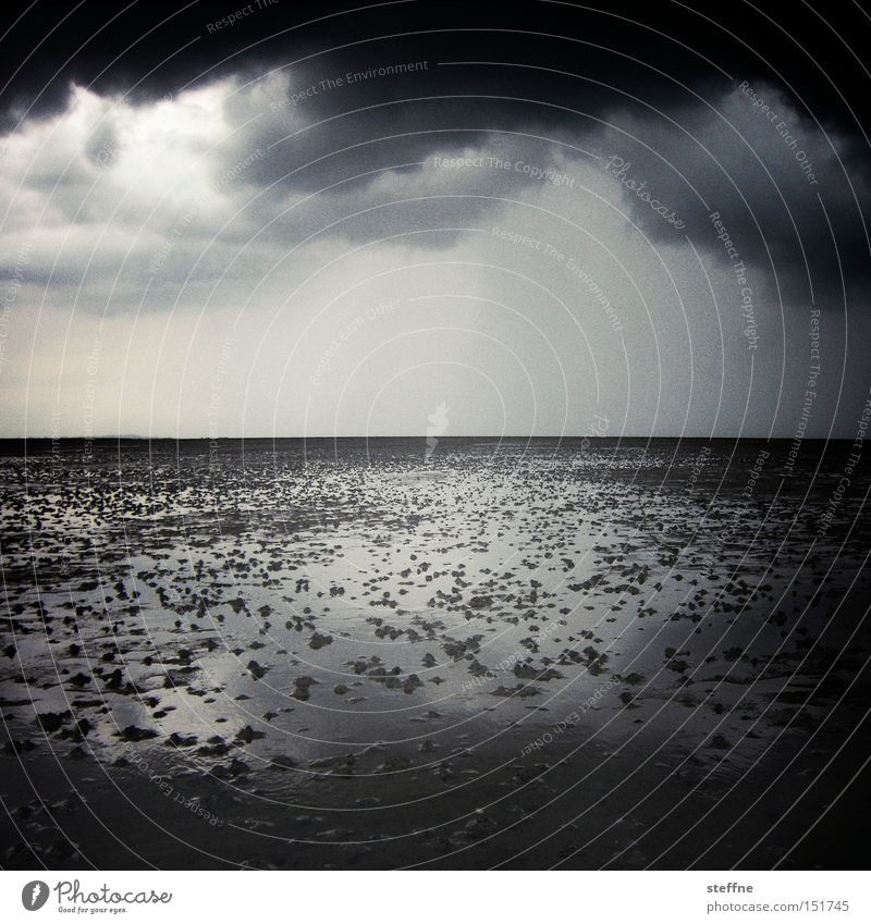 watt ... Mud flats North Sea Thunder and lightning Threat Clouds Dramatic Lugworms Low tide Tide Gale Black & white photo Ocean