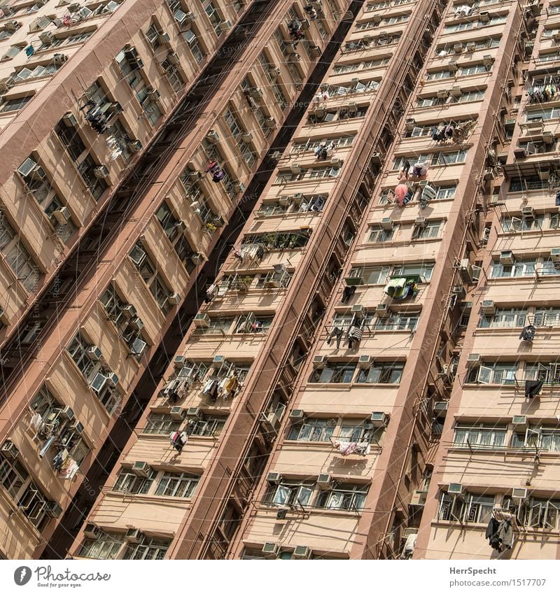 cage posture Living or residing Hongkong Downtown Skyline Manmade structures Building Architecture Facade Window Exotic Tall Gloomy Town Many Tower block