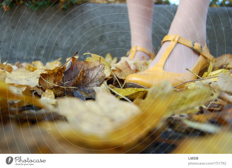 Yellow as autumn Footwear High heels Autumn Leaf Perspective Clothing straps Legs Feet Ankle Exterior shot
