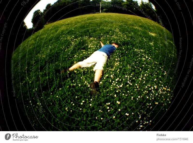 Embrace the world ... Meadow Grass Daisy Relaxation Round Summer Sleep Sunbathing Joie de vivre (Vitality) Calm Peace Fisheye Freedom Youth (Young adults)