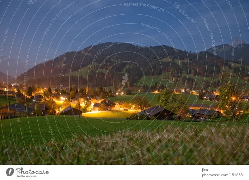 late evening 3rd Night Evening Moonlight Full  moon Shadow Meadow Vantage point Tree Mountain Light Slope Grass Lamp Lighting Moody Long exposure