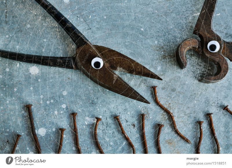 Jealousy about food! One rusty pair of scissors and one rusty pair of pincers with eyes and several rusty nails Craftsperson Workplace Construction site