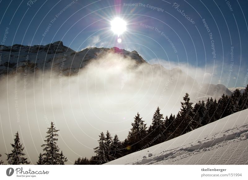 Mountain Dreamworld I. Sun Fog Snow Clouds Forest Back-light Beautiful Threat Go up Weather Sky Tracks Hiking Snow shoes Dream world Winter Winter sports