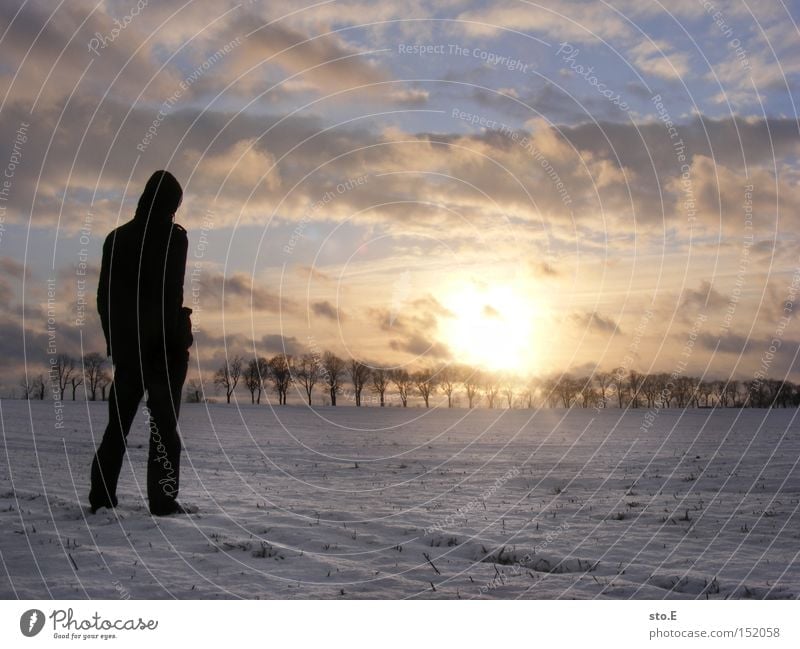 What we need... Human being Snow Nature Landscape Far-off places Sunset Avenue Field Posture Looking Winter Sky Moody Cold Brandenburg