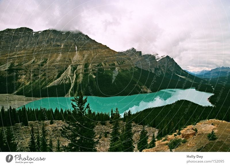 Peyto Lake in September Peyto lake Mountain Green Turquoise Glacier Tree Mountain lake Canada Jasper Icefield parkway Water Vantage point Rocky Mountains