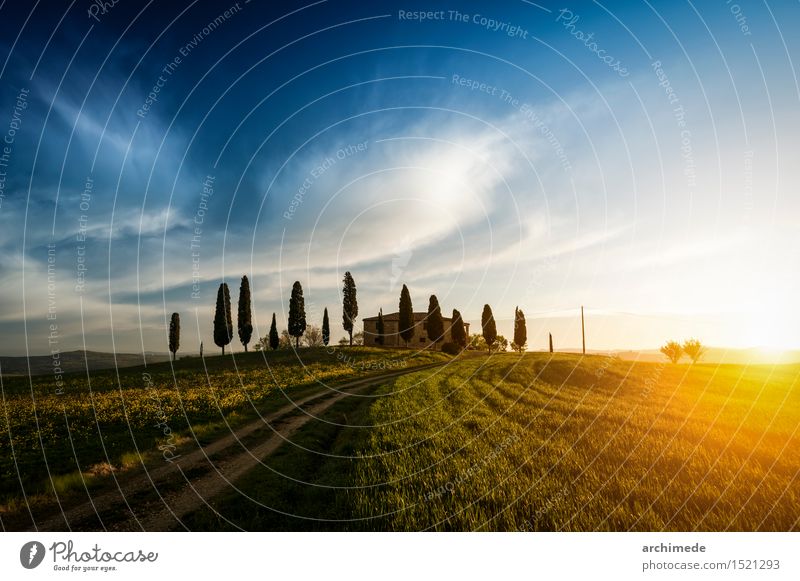 Farm in Tuscany Environment Nature Landscape Sky Grass Street Lanes & trails Green field country background Italy Majestic Sunset val d'orcia Exterior shot