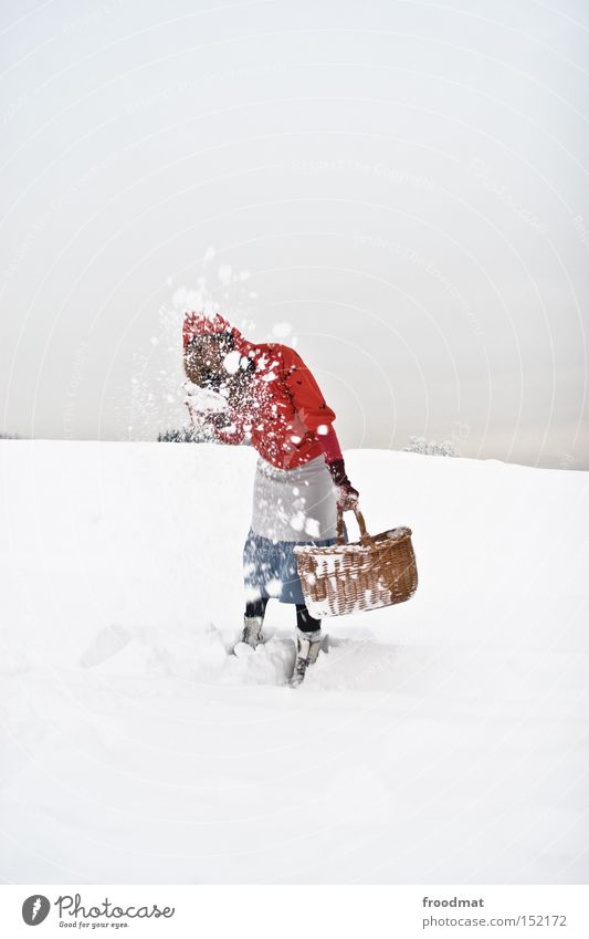 cottage cheese Winter Snow Little Red Riding Hood Fairy tale Mountain Switzerland Cold White Gray Calm Basket Bleak