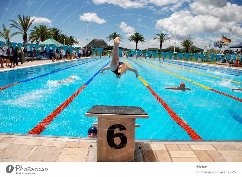 Six in the water II Swimming pool Swimming trunks Springboard Water 6 Blue Clouds Palm tree Swimmer (professional sportsman) Beginning Sports Flying Head first