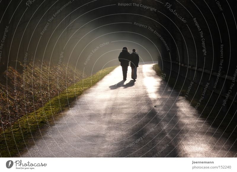 evening stroll Evening Couple Lovers Married couple To go for a walk Lanes & trails Back-light Dusk Together Hiking Fog Happy Autumn Contentment In pairs