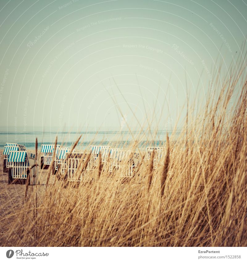 beach observation Relaxation Calm Vacation & Travel Tourism Trip Summer Beach Ocean Nature Landscape Sky Spring Beautiful weather Grass Baltic Sea Blue Brown