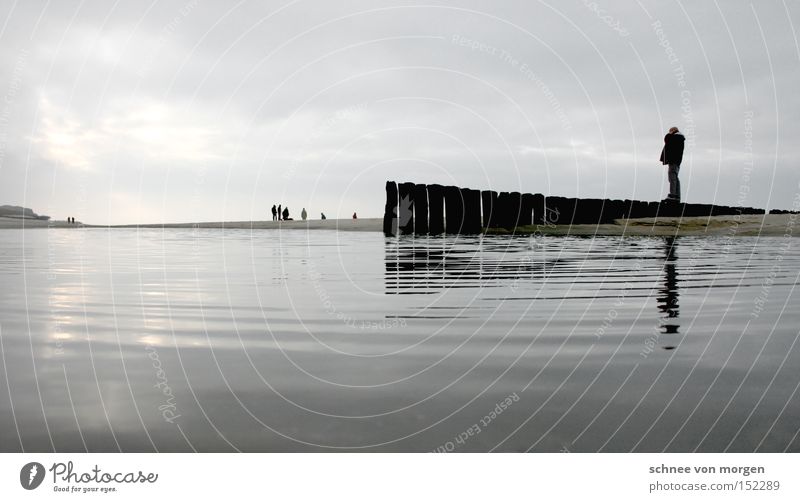 birthday greetings Man Water Ocean Joist Wood Far-off places Lake Waves Birthday