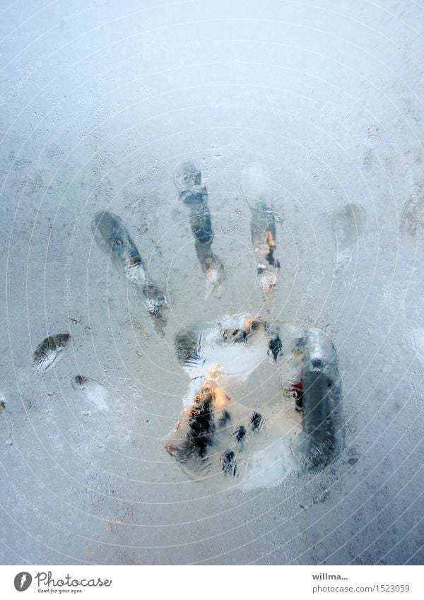 the ice cold hand 2 handprint Window pane Hand Pane Winter Ice Frost Cold Frozen Frostwork Fingerprint Copy Space top Fingers Imprint icily global warming
