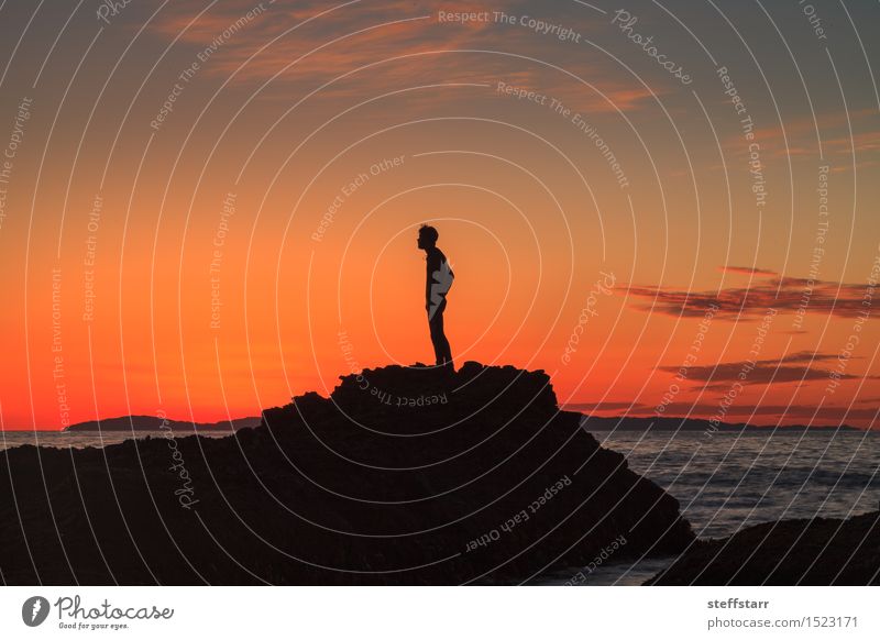 Silhouette of a man at sunset on a rock Healthy 1 Human being 18 - 30 years Youth (Young adults) Adults 30 - 45 years Sky Sunrise Sunset Coast Bay Coral reef