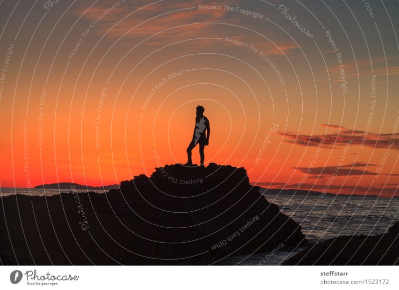 Silhouette of a man at sunset on a rock Healthy Young man Youth (Young adults) 1 Human being Sunrise Sunset Coast Ocean Harbour Stone Water Think Sadness Blue