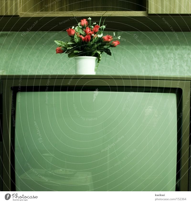 ... TV set Television Old Old fashioned Flower Living or residing Living room Grief Statue