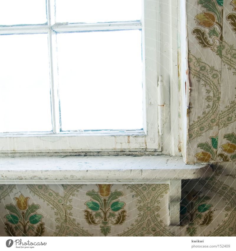 in 1954 Window Old Wallpaper Derelict Wood Tumbledown Living or residing Transience