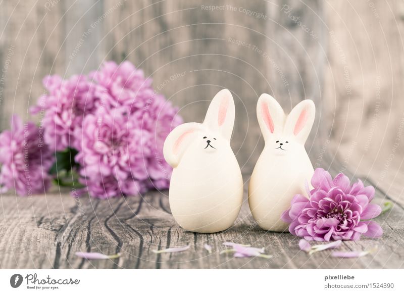 Happy Easter Interior design Decoration Table Feasts & Celebrations Nature Plant Spring Flower Foliage plant Animal 2 Pair of animals Kitsch Odds and ends Wood