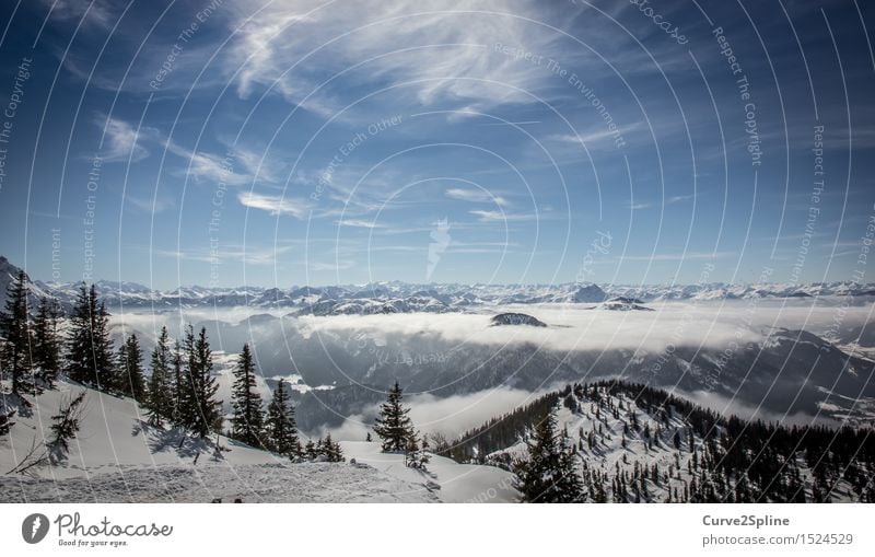 Iceworld Landscape Elements Sky Clouds Winter Beautiful weather Fog Frost Snow Tree Forest Hill Alps Mountain Peak Snowcapped peak White Austria Far-off places