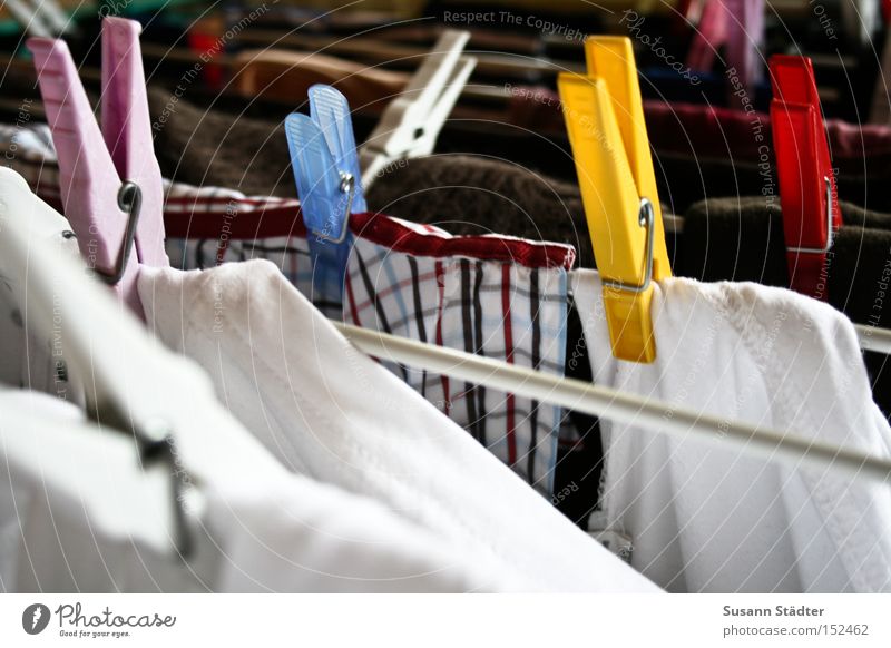 Honey, please hang up the laundry! Laundry Dry To hold on Holder Shirt T-shirt Washing Dirty Detergent Washer drum Hang up Warmth Things Clothing Household