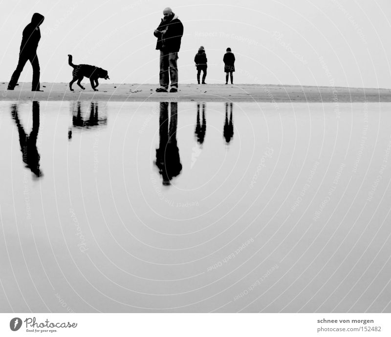 christmas society Man Dog Woman Beach Water Ocean Reflection Calm Relaxation Vacation & Travel Black White Black & white photo Coast Reflection & Reflection
