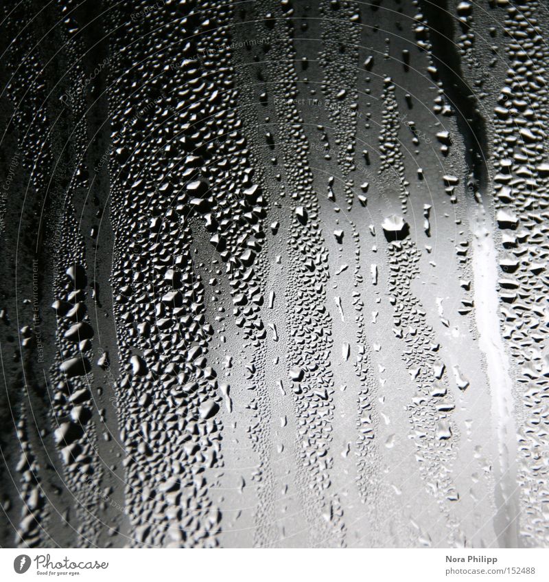 Drops drop Interior shot Flat (apartment) Water Drops of water Autumn Fog Window Line Cold Wet Sadness Loneliness Climate Boredom Transience Desire Window pane