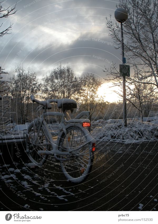 Snow-covered bicycle Bicycle Cold White Sky Blue Winter Lamp Loneliness snowed over