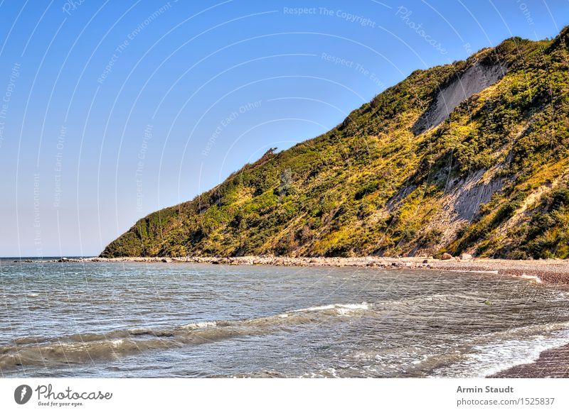 Coast - Hiddensee Life Senses Relaxation Calm Vacation & Travel Tourism Summer vacation Beach Environment Nature Sand Cloudless sky Beautiful weather Hill Bay