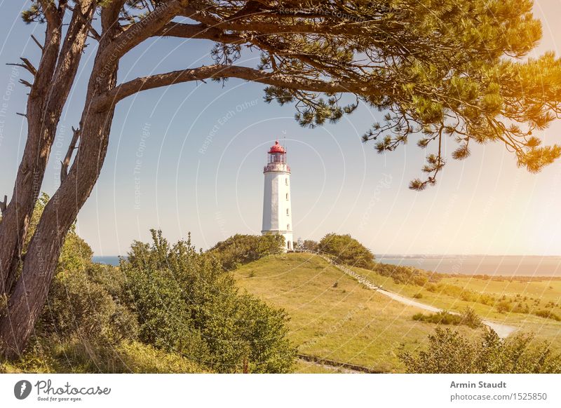 Lighthouse Hiddensee Vacation & Travel Tourism Trip Far-off places Summer vacation Architecture Nature Beautiful weather Tree Pine Hill Coast Baltic Sea Moody