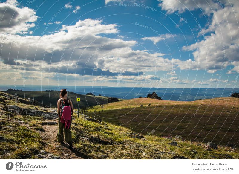 hiking in Alaska... Vacation & Travel Adventure Far-off places Freedom Summer Summer vacation Mountain Hiking Human being Feminine Young woman