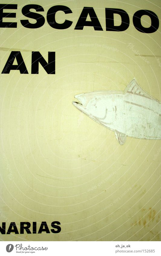 escado an arias Fish Typography Spain Yellowed White Fin Old Fisherman Wholesale market Advertising fragment