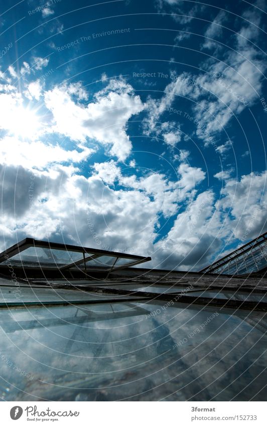 glass house Summer Garden Greenhouse Glass Mirror Sun Sky Clouds Reflection Portrait format Positive Optimism Optimist Light Window Window pane Car Window Slice