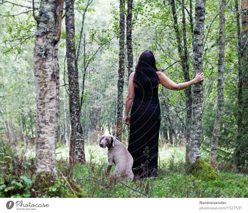 Between birch trees Harmonious Senses Relaxation Calm Vacation & Travel Trip Far-off places Freedom Human being Feminine Woman Adults Nature Elements Tree Grass
