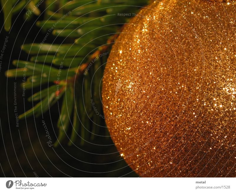 Christmas bauble Glitter Ball Living or residing Christmas & Advent Macro (Extreme close-up) Orange Close-up Fir needle