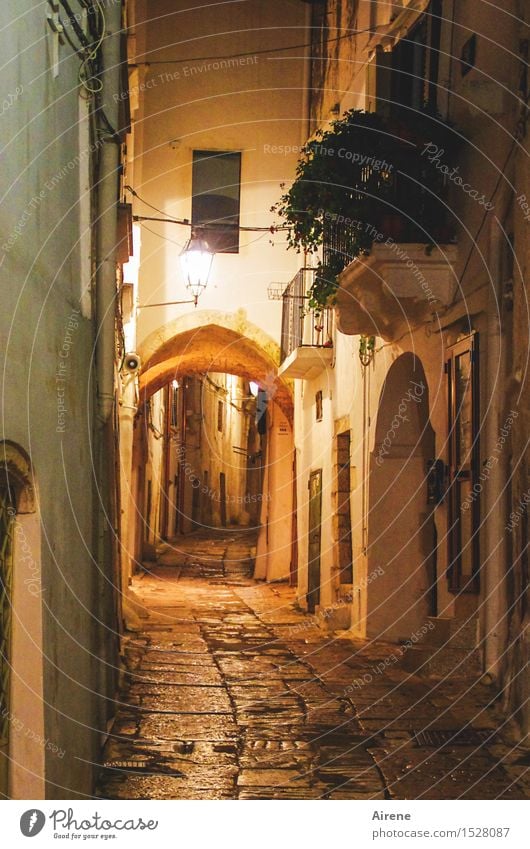 Night piece deserted Italy Apulia Southern Europe Small Town Old town Goal Wall (barrier) Wall (building) Facade Balcony Archway Street Alley Lamp Lantern