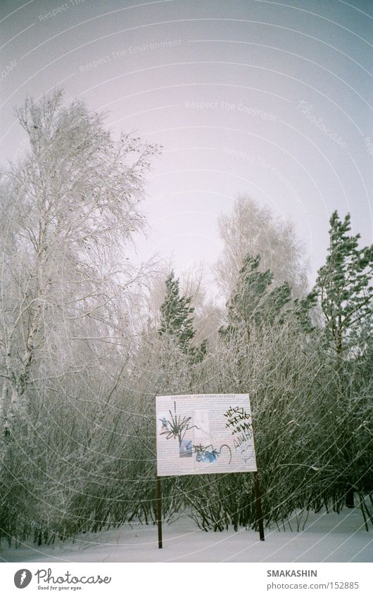 board with a warning Siberia Tree Ice Black Snow Forest Frost Winter LOMO 135 mm film Russia -30 C Cold Gale the person's brother graffiti tags
