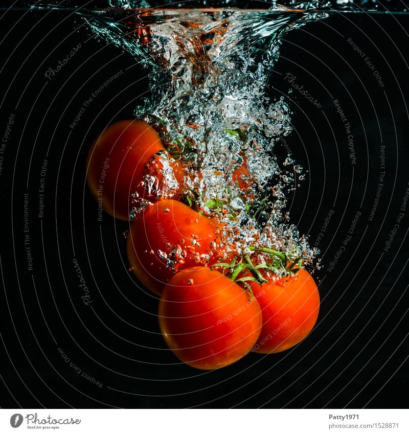tomatoes Vegetable Tomato Organic produce Vegetarian diet Diet Drinking water Healthy Eating Fresh Delicious Wet Natural Green Red To enjoy Nutrition Splash