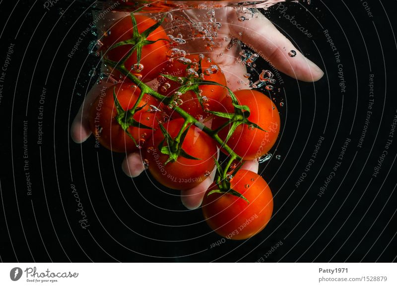 tomatoes Food Vegetable Tomato Organic produce Vegetarian diet Diet Drinking water Healthy Eating Hand Fingers Fresh Delicious Wet Natural Green Red To enjoy